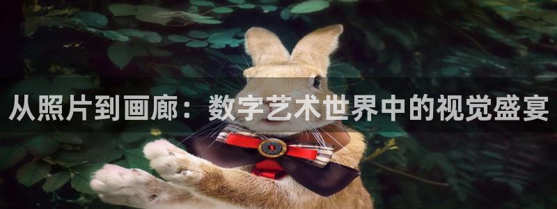 韩漫址：从照片到画廊：数字艺术世界中的视觉盛宴