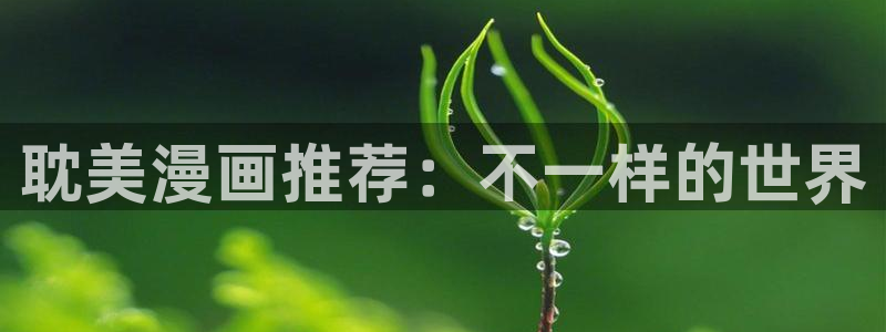 韩漫免费在线观看.：耽美漫画推荐：不一样的世界