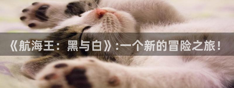 韩漫漫画在线免费观看：《航海王：黑与白》:一个新的冒险之旅！