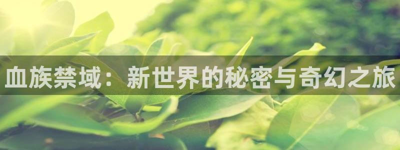 韩漫画韩国：血族禁域：新世界的秘密与奇幻之旅