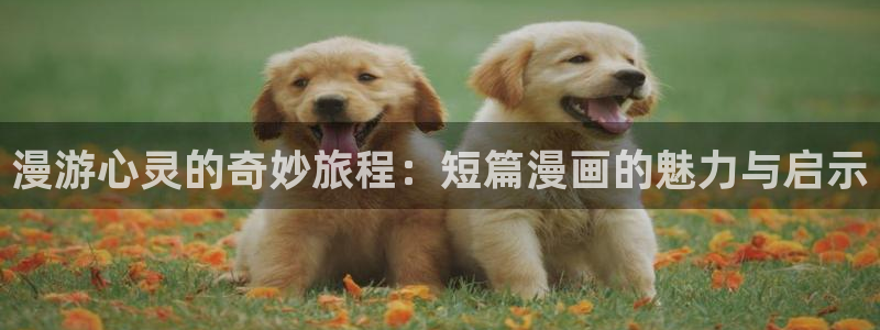 韩韩漫画韩漫：漫游心灵的奇妙旅程：短篇漫画的魅力与启示